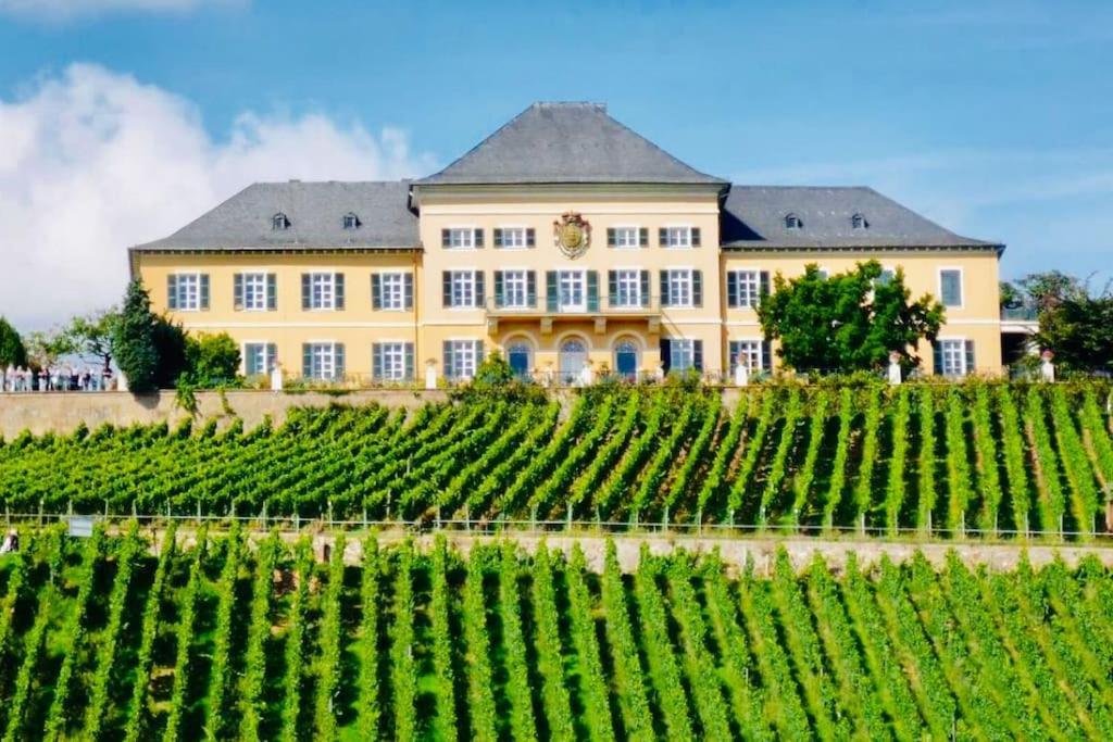 1.0 Relaxen Am Kloster Johannisberg Гайзенхайм Экстерьер фото