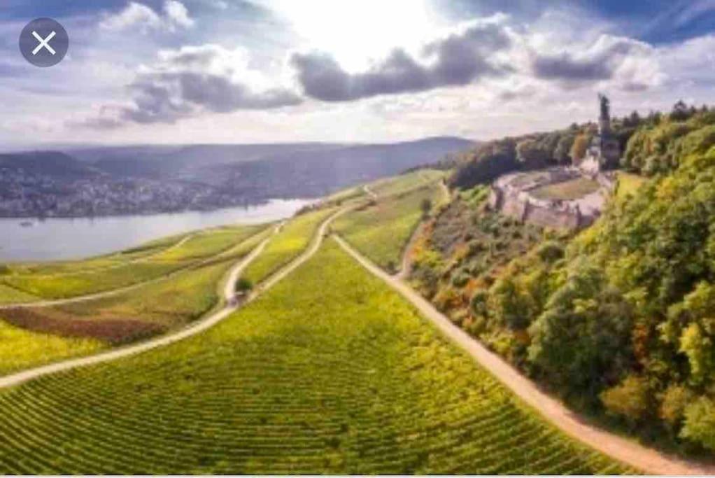 1.0 Relaxen Am Kloster Johannisberg Гайзенхайм Экстерьер фото